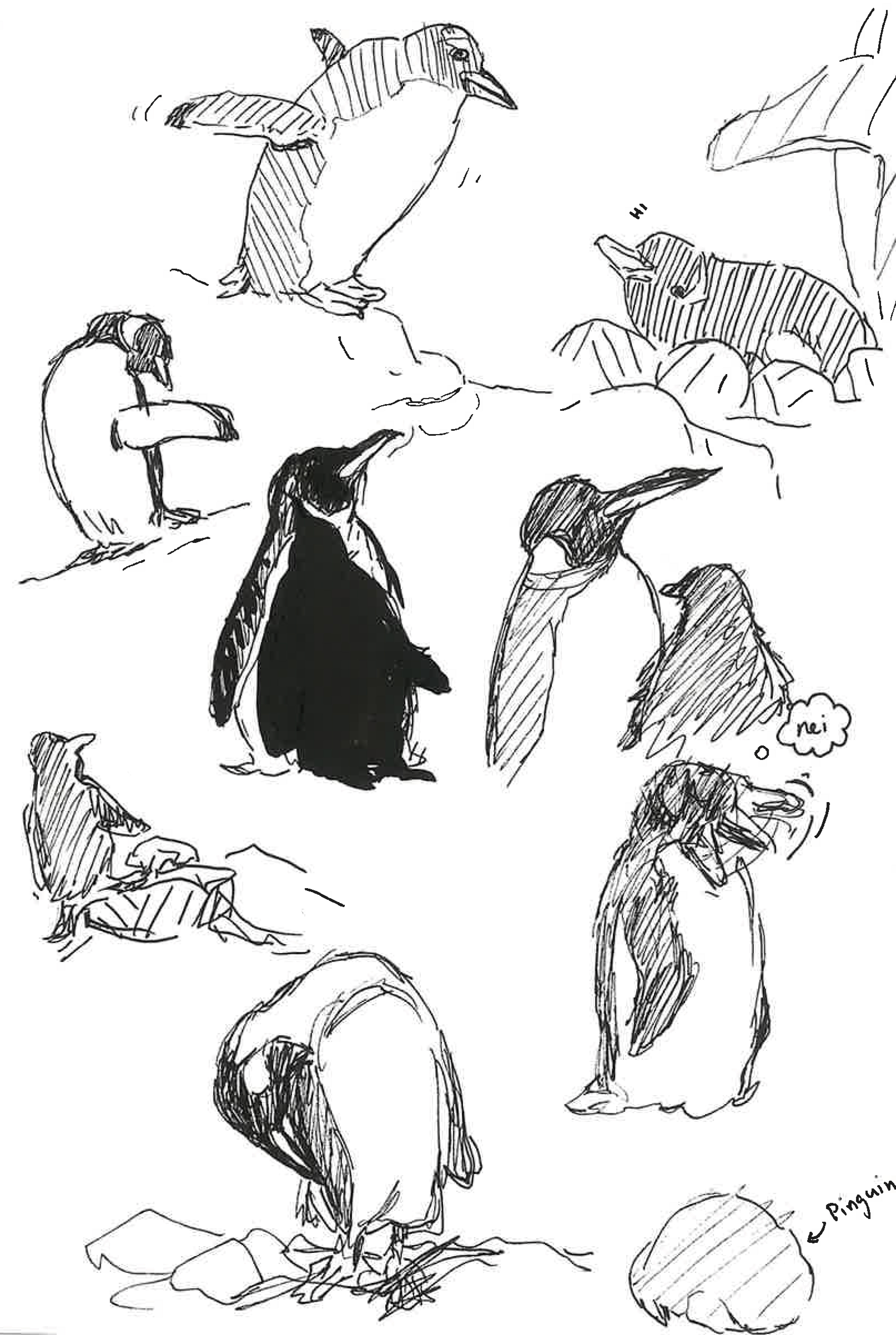 Pinguine